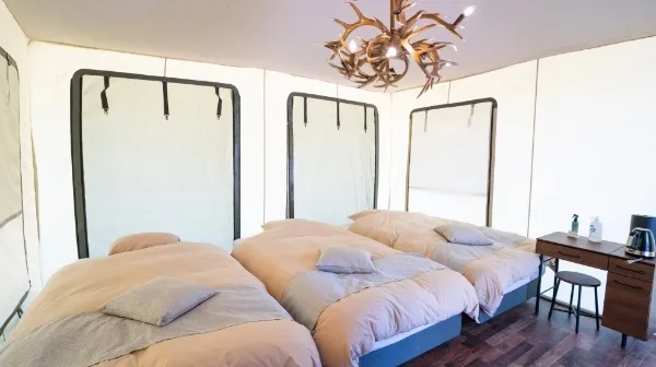 デュラクスアウトドアリゾート京丹後久美浜LABOの客室ベッドの写真