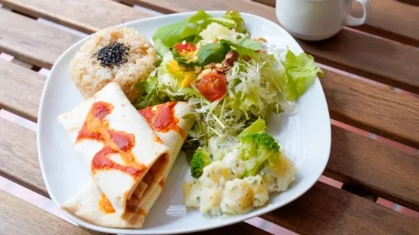 日本ヴィーガン協会公式のトルティーヤやサラダを使ったヴィーガン料理の写真